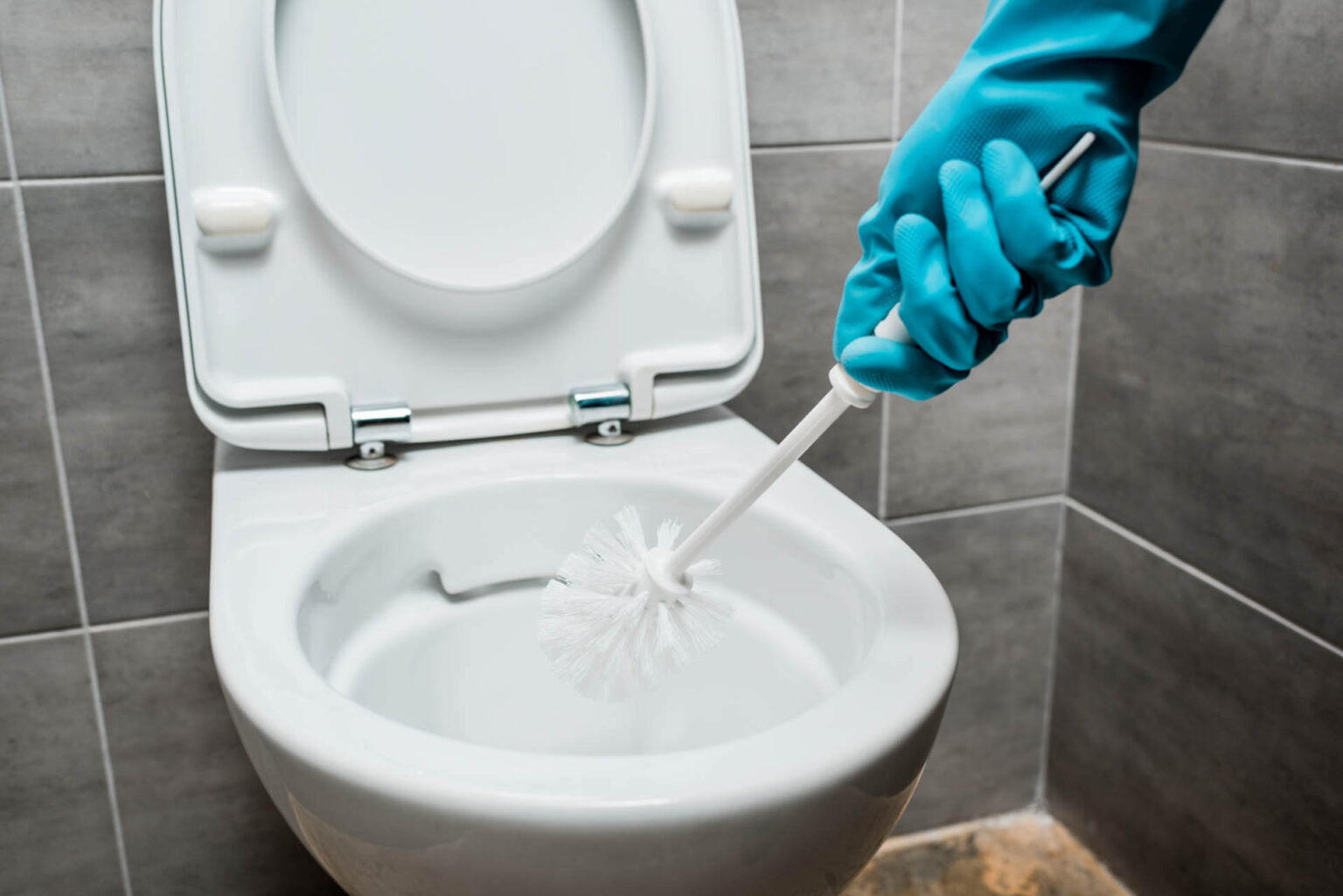 Eingefressener Kalk entfernen Toilette Kalkprofis