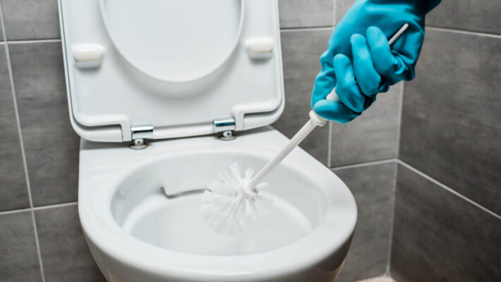 Reinigung und Entkalken Keramik-Toilettenschüssel mit WC-Bürste in moderner Toilette mit Grau
