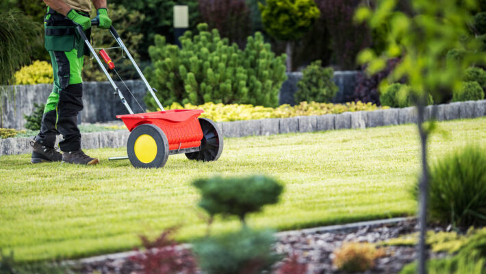 Rasenpflegeprofi mit Sämaschine für kalkhaltigen Dünger im Garten bei Tag